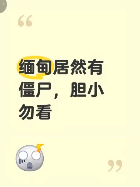 《缅甸僵尸出土事件》现场录像揭秘-缅北僵尸出土真相-高清无删减完整版在线免费播放-缅甸僵尸出土事件视频