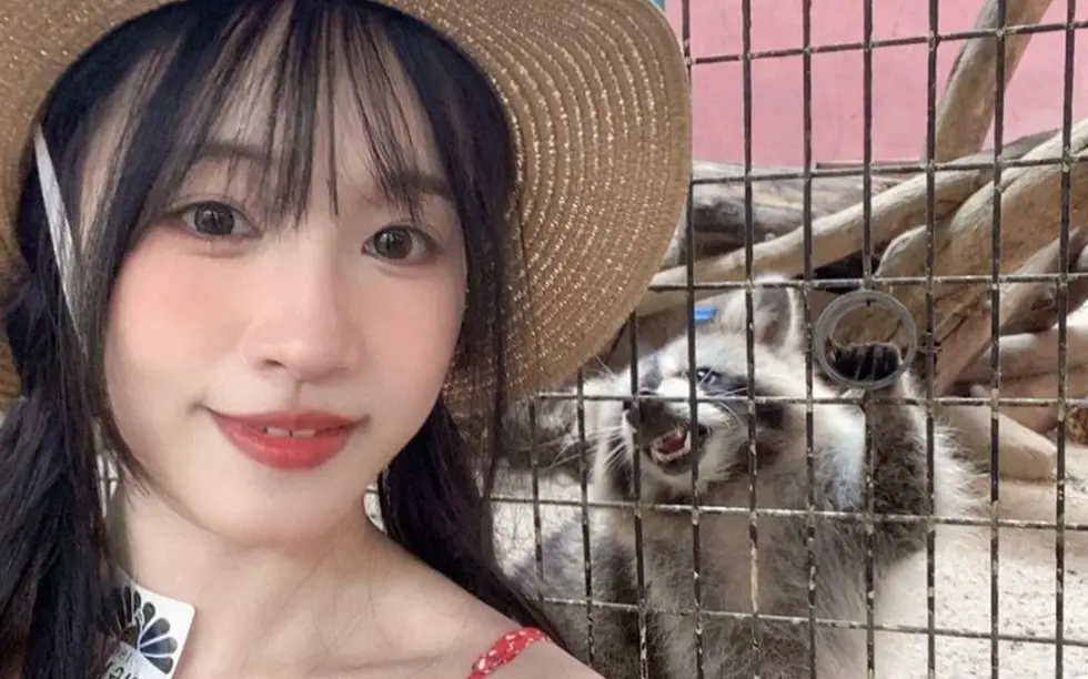 国产女神苏畅vlog视频大全-无删减高清1080P版在线观看全集-免费观看平台