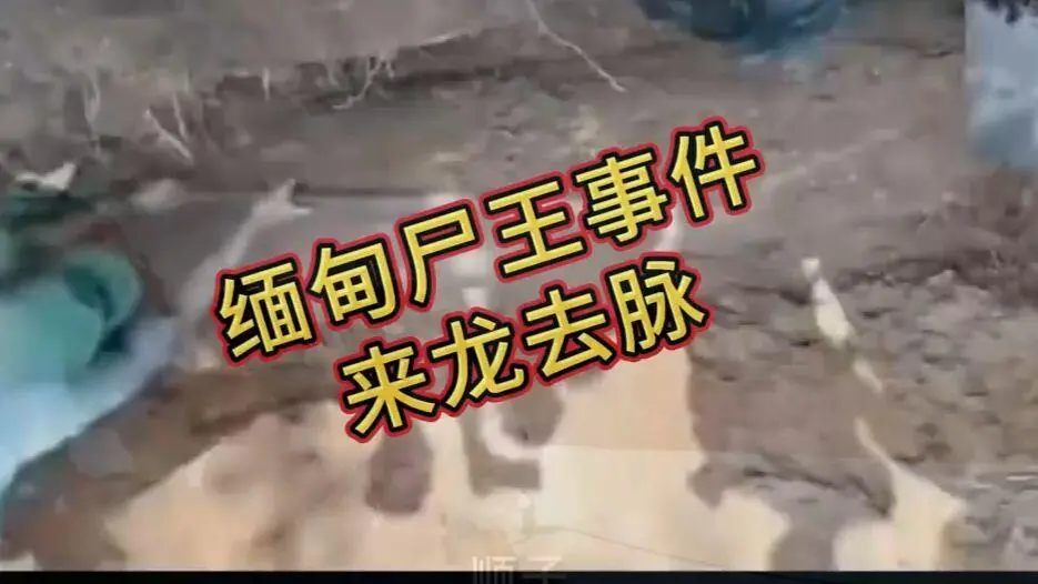 缅甸僵尸出土事件视频在线观看 - 完整版资源免费播放 诡异真相解密 原视频高清下载