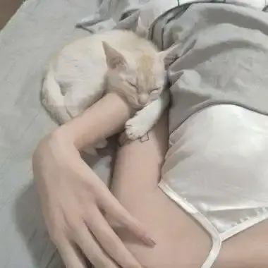 森泽佳奈高清全集无删减中文版免费在线观看-1080P蓝光无水印网盘下载-无广告版完整版珍藏